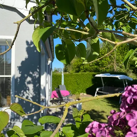 Ostseemoewe Feriehus